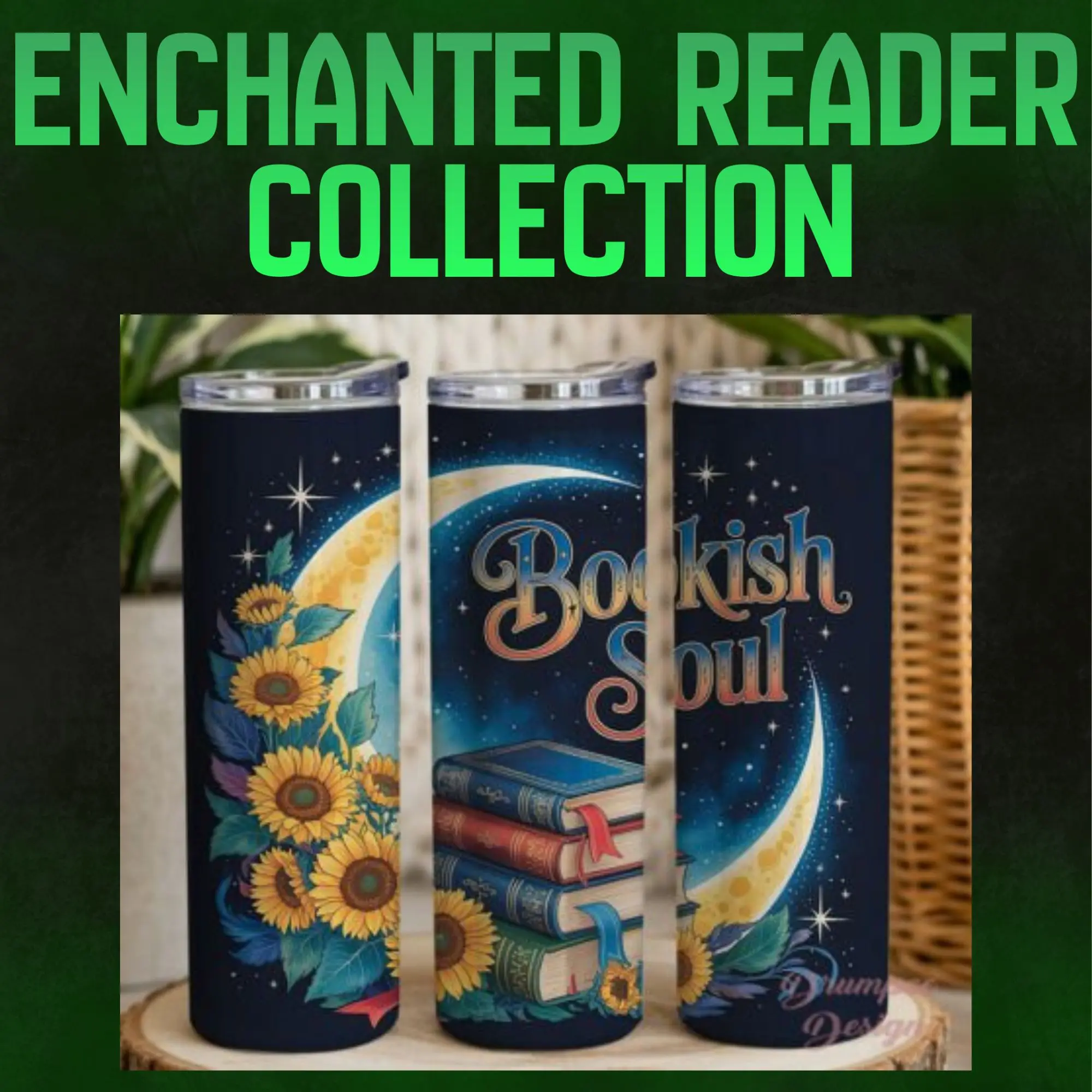 Enchanted Reader Collection
