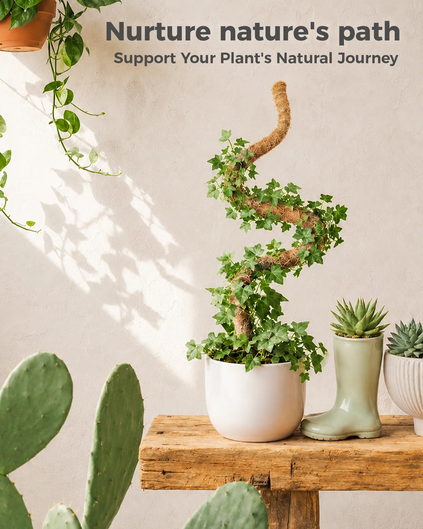 2-Pack Bendable Design Support Stakes (28 in Flexible) – 2 Piece Sets for Indoor Gardening Monstera Plants, Potted Climbing Houseplants Vertical Growth Aid, Two Piece Sets Tree Support Potting Plant Care