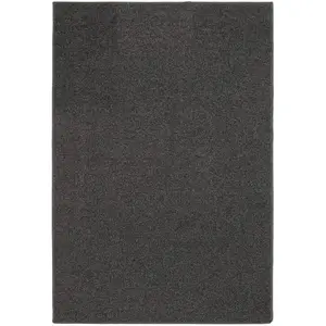 Mainstays 30" x 46" Titan Grey Durable Indoor Utility Area Rug