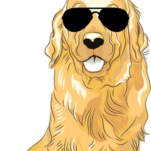 background preload poster image 