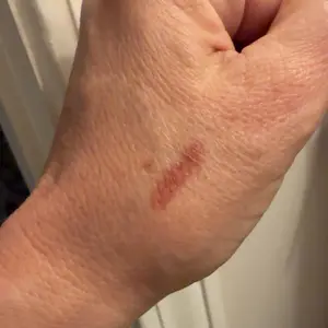 Product Review of Blurfiller Blurring Lip Contour, Buildable Formula, Line, Define, Contour, L'Oreal Paris from K**y A**n