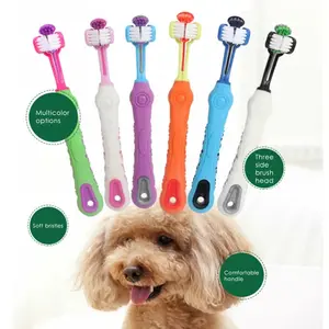 Three Sided Dog Toothbrush