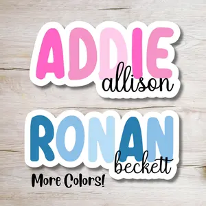 Full Name Multi Color Personalized Stickers