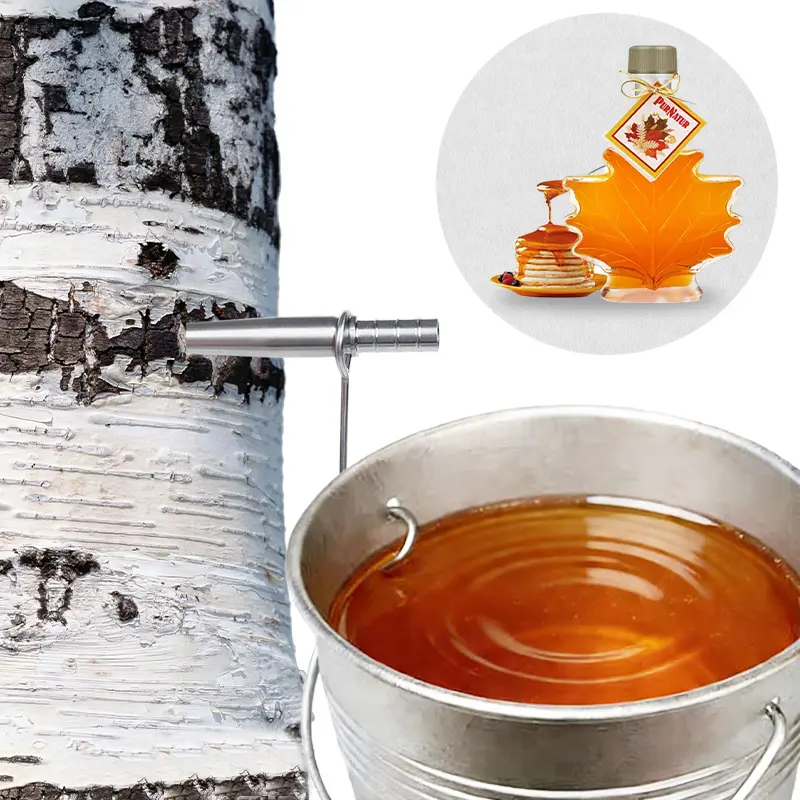 1 set of maple syrup collection tapping kit, drip irrigation+hook, stainless steel maple faucet, maple syrup collection drip tool