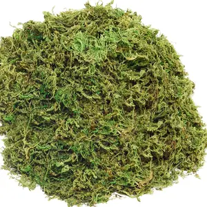 10OZ  Moss Artificial Moss for Potted  Greenery MossHome Decor Fairy Garden Crafts Wedding Decoration ( Green)