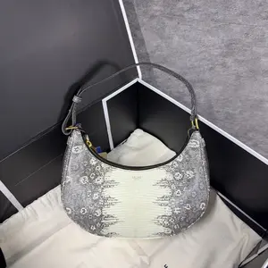 Pre-owned Celine Liz Handbag Ava Himalayan CPU0604