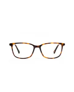 Faraday Plano