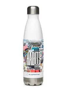 Stainless Steel Water Bottle (17 oz)