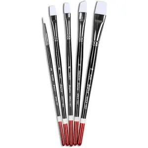 5pcs Round Flat Angular Artist Acrylic Paint Brush Set for Shoe Painting