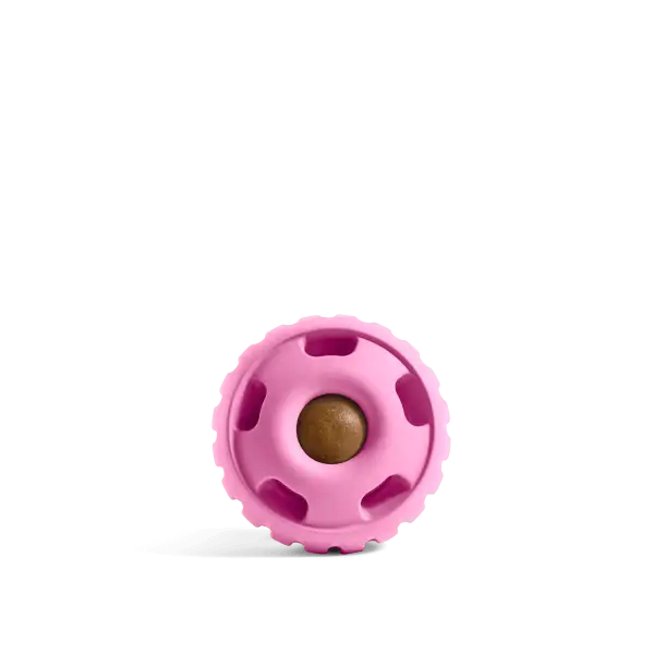 WOOF Party Pupsicle - Long-Lasting Interactive Dog Toys for Boredom - Low-Mess Design - Birthday Gifts for Dogs