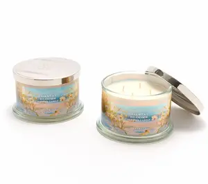 QVC HomeWorx by Slatkin + Co. Decorative Moss Glass Beach Theme Spring Set, 2-Pack 18oz Candles