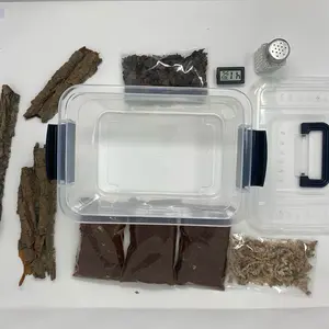 InsectScapes isopod enclosure for small insects like isopods, snails, spiders, millipedes, centipedes, springtails, and more!