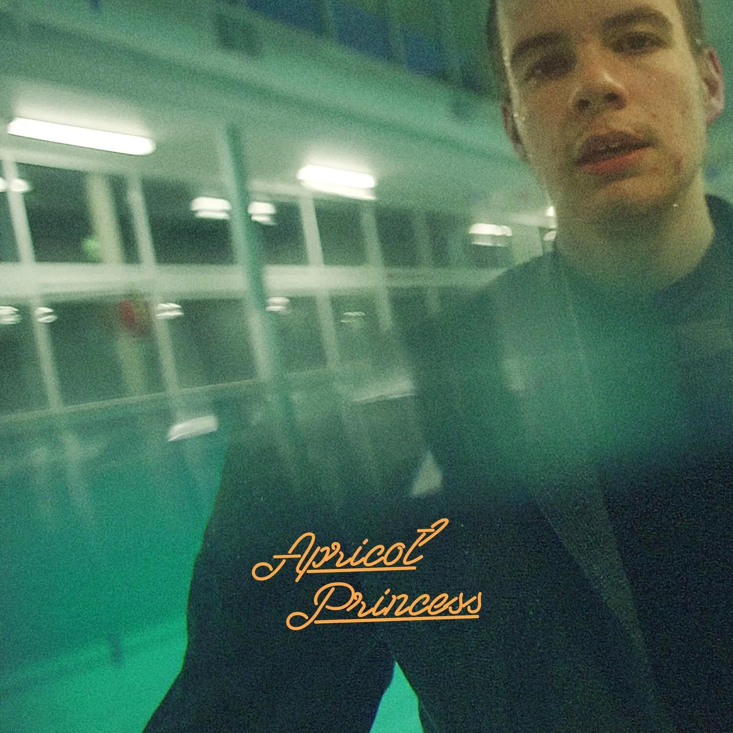 Rex Orange County - Apricot Princess  [VINYL RECORD - LP] Colored Vinyl, Orange