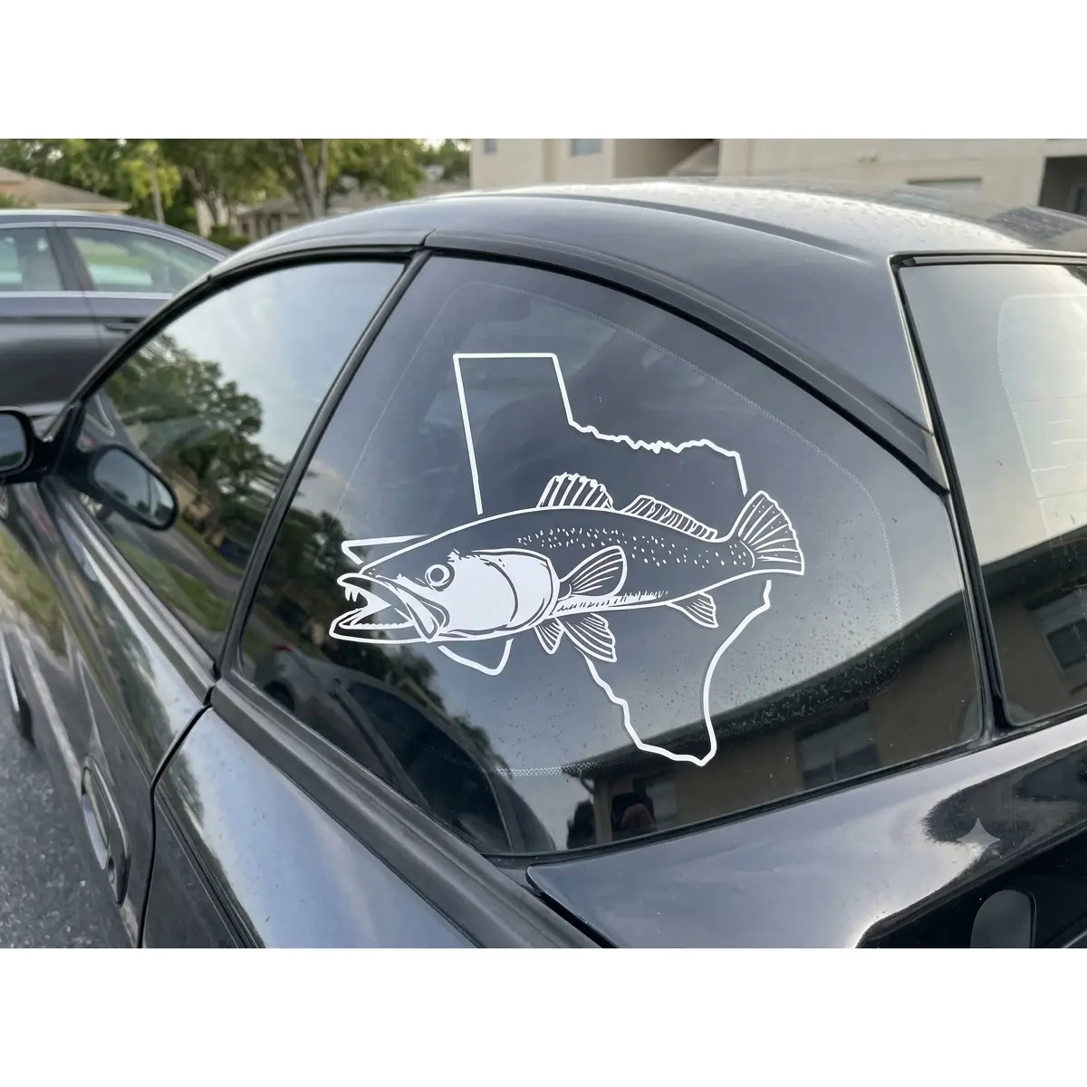 Texas Speckled Trout Vinyl Sticker – Fishing Decal