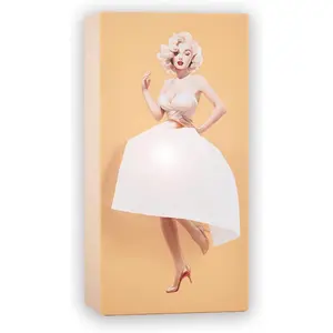 Creative Lady Up Dress Design Tissue Box Cover for Facial Tissues and Napkins Organiser Decor Vanity