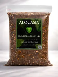 Alocasia Mix — Moisture-Balanced, Aerated Soilless Potting Mix