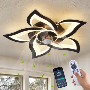 Ceiling Fan with Lights Remote Control, 24" Black, 6 Speeds 3 Light Color Low Profile Flush Mount Ceiling Fan for Kitchen Bedroom