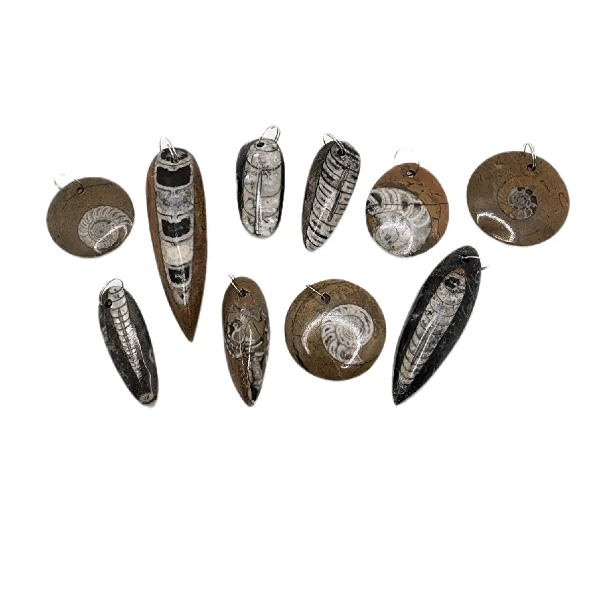 Fossil Charm - Pendant Keychain Ammonite Orthoceras
