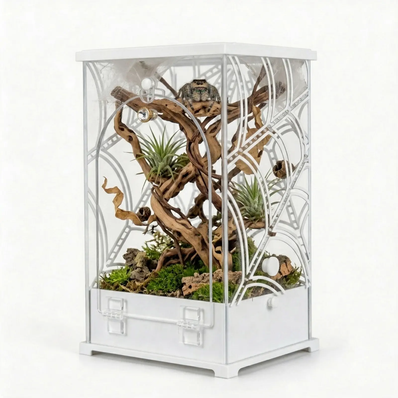 MonsterBox Spider Enclosure, 4x3.5x6 Web Design Acrylic Jumping Spider Habitat