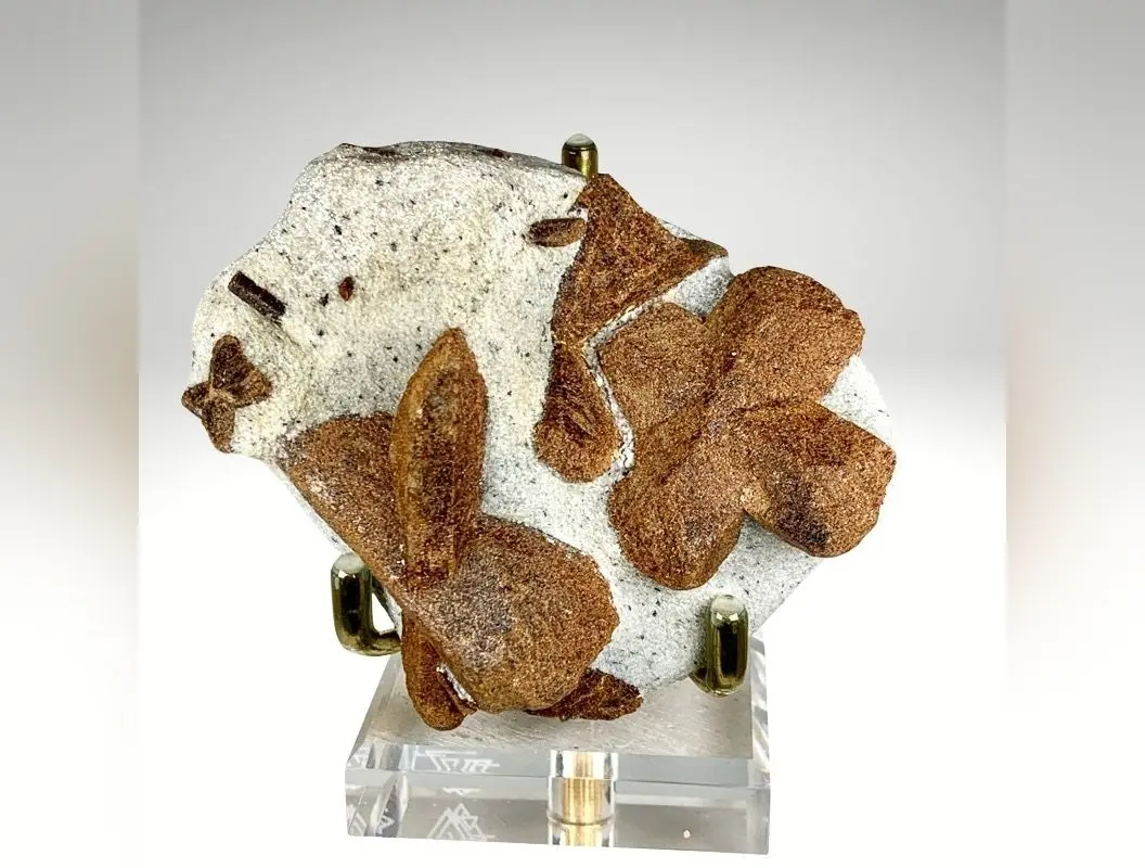 Staurolite 227g Rare Mineral Specimen
