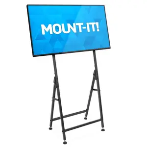 Mount-It! Portable TV Display Stand