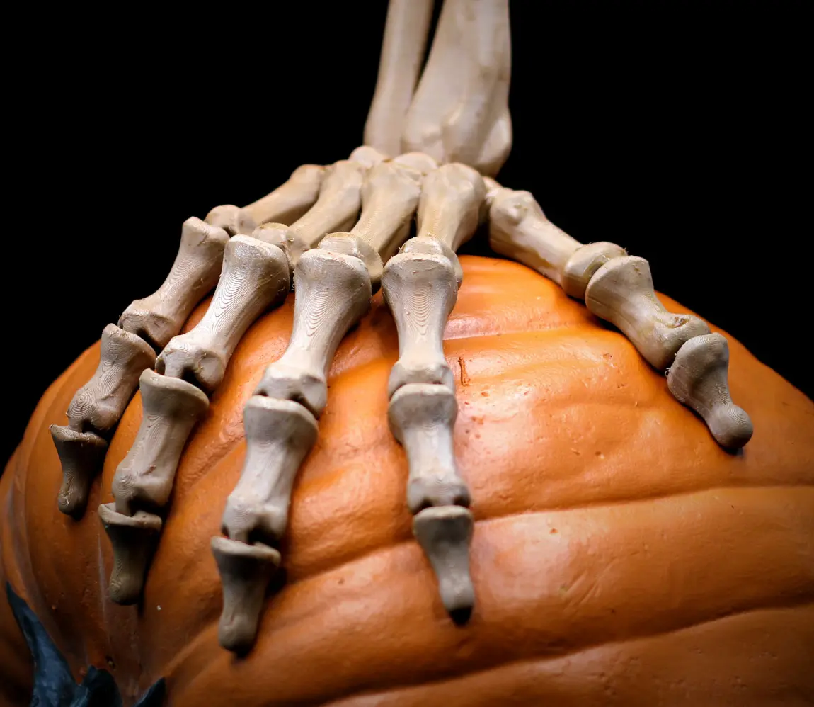 Flexi Skeleton Hand Collectible Figurine - Fully Articulated 3D Printed Halloween Decor & Props for Collectors and Horror Fans