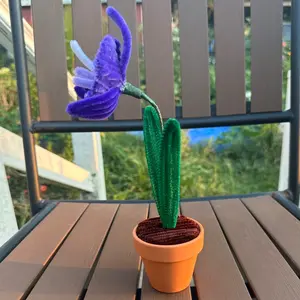 Purple Orchid in small pot