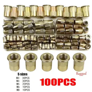 100pcs Professional Color Steel Rivet and Nut Tool Set | Riveters for Thin Sheets and Home Projects, Reliable Performance - Durable and versatile hand tools for a variety of applications, with polished metal ends.