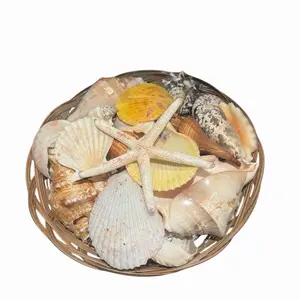 BollaCarga Large Carga Set Santeria Yoruba Orisha Olokun Tool with Santeria OSHA Santo Ifa Complete Set