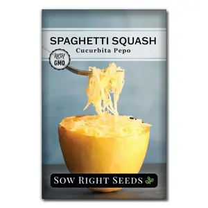 Spaghetti Squash