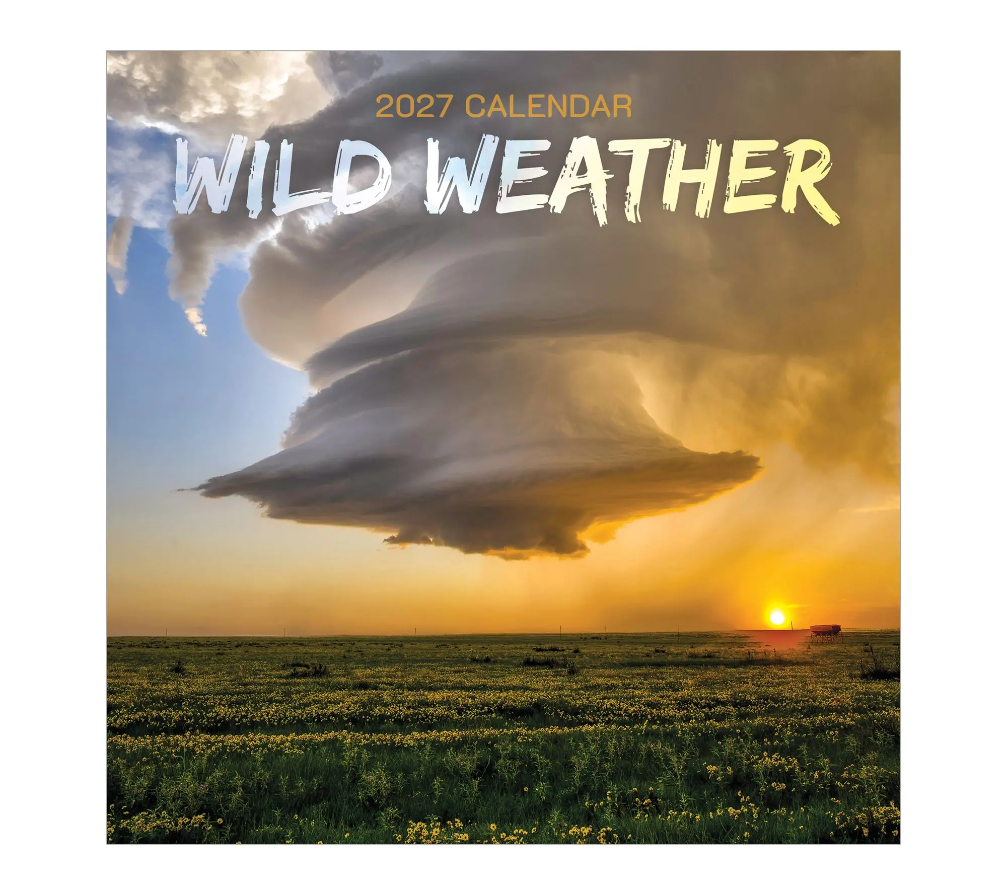 TF Publishing 2027 Wild Weather Wall Calendar