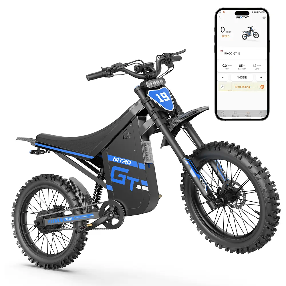 RIXOC GT19 Adult Electric Bike, 40MPH, 19-inch tires,3000W peak