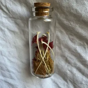 Rattlesnake Rib Bone Heartbreak Remedy Vial – Handmade Witchcraft + Oddity Specimen
