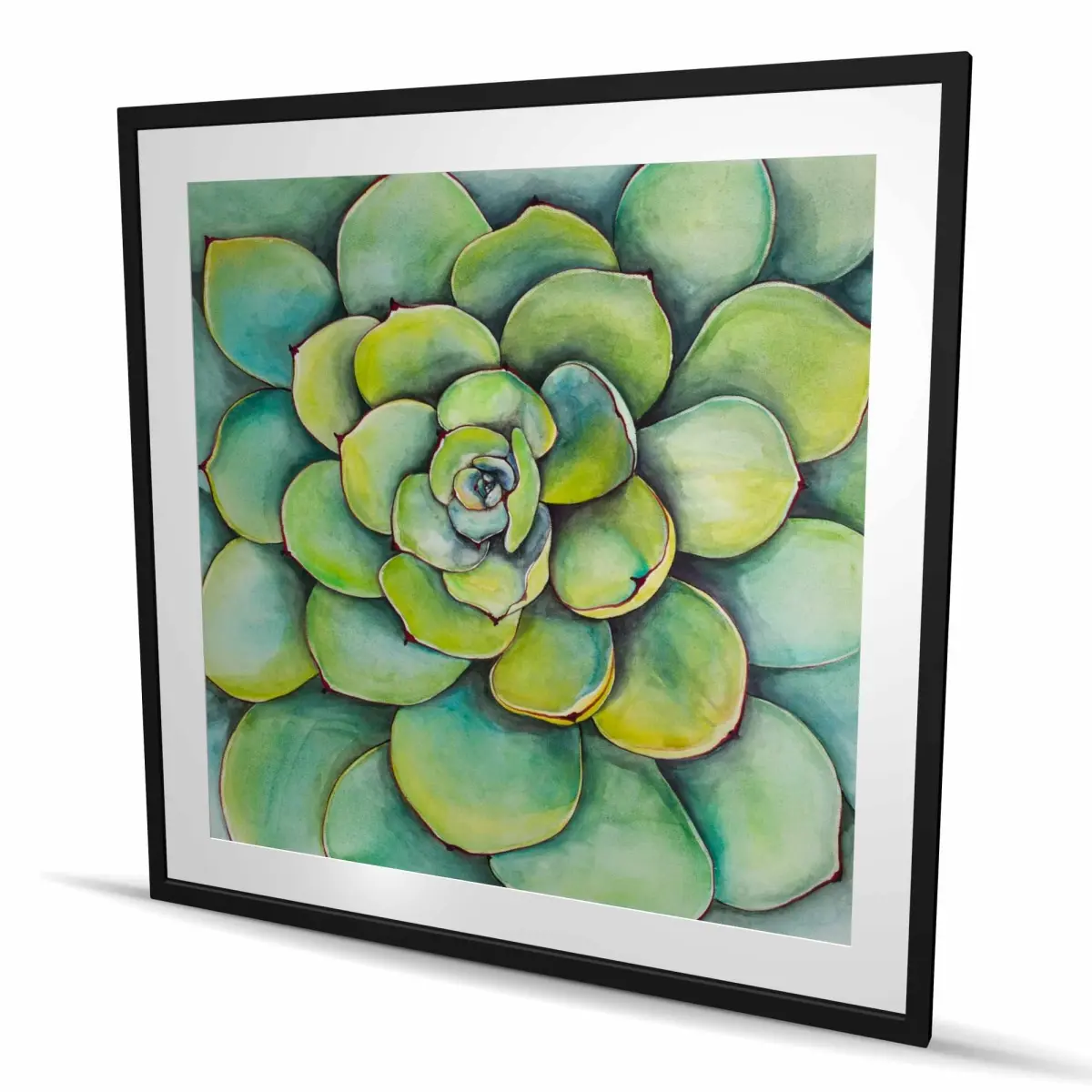 Begin Home Decor C1FM4848K7V93F 48 x 48 in. Watercolor Succulent Plant Print Wall Art - Framed Bathroom Decor