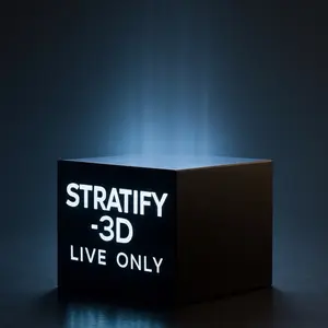 Stratify3D-Build-A-Box - $35 to $500 Fill-A-Box Articulated FIGURES 3D Printed Goodies Home Decor Gifts