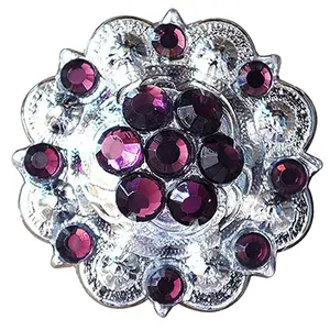 HILASON Western Screw Back Concho Amethyst Crystal Saddle color | Bridle Conchos Slotted Bling