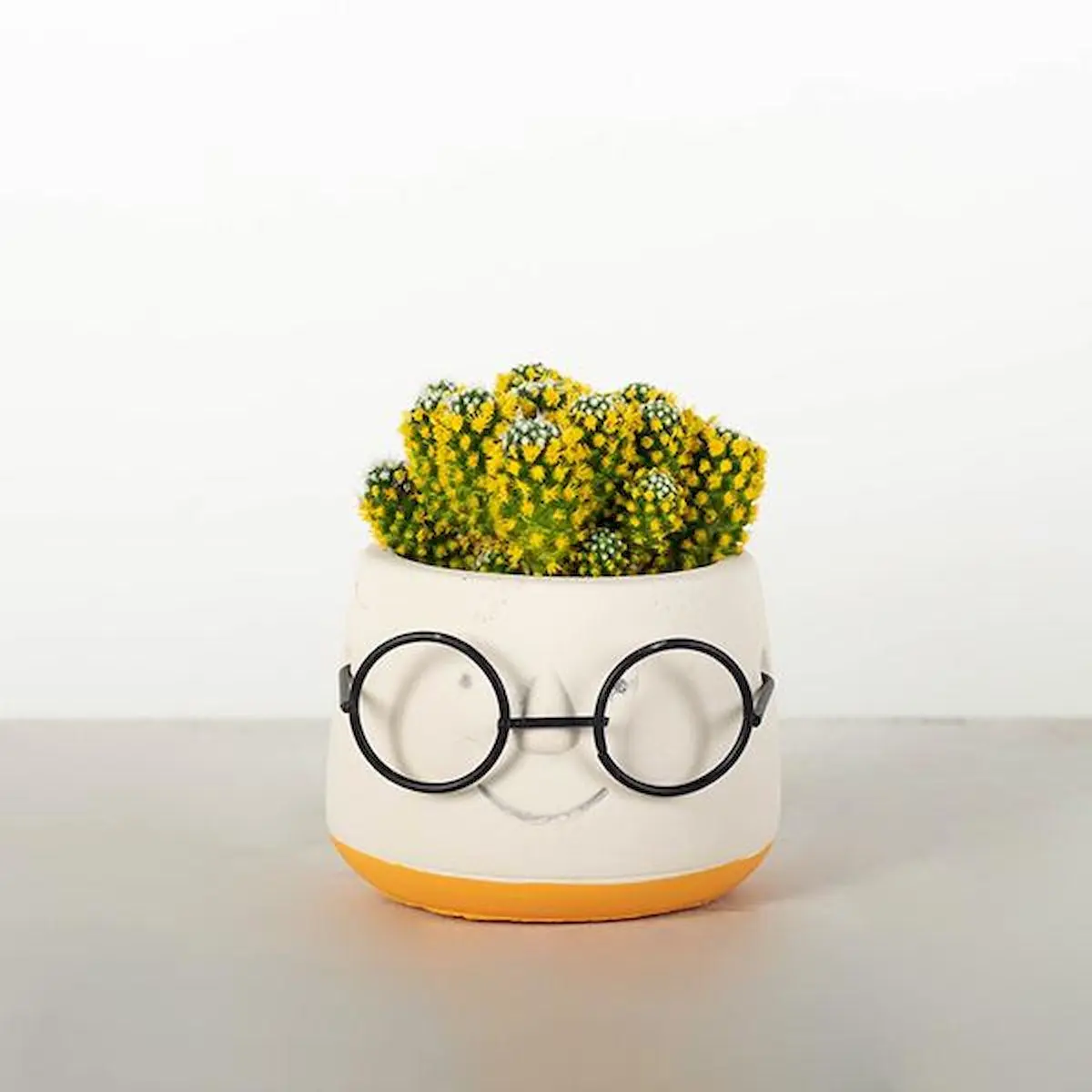 Cement Face with Glasses Yellow Rimmed Planter