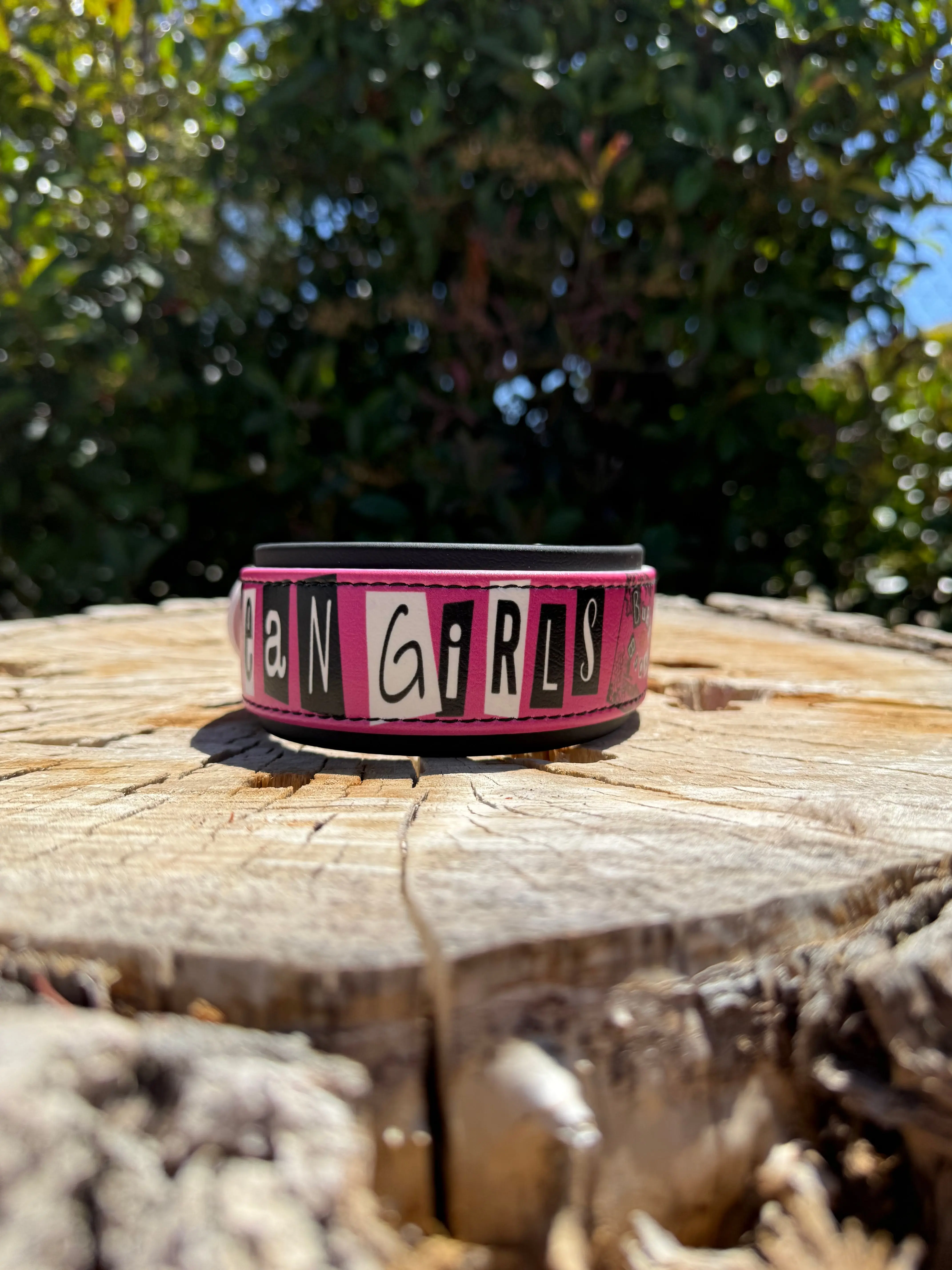 Mean Girls Inspired UV Printed Collar – 1.5"/2" Biothane®