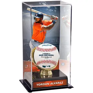 Yordan Alvarez Houston Astros Gold Glove Display Case with Image