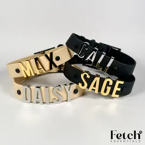 Custom Name Dog Collar - PVC Coated Nylon Webbing - Personalized Pet Name Tag - Adjustable Fit Design for Comfortable Wear - Gold & Silver Jewelry For Pets - Dog & Cat Accessory
