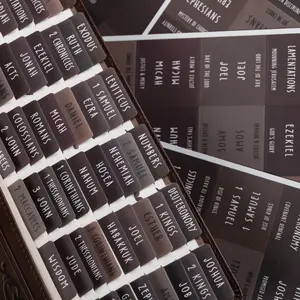 Bible Tabs with Book Summaries (Brown) – Large Print, Repositionable Stickers, 80 Easy-to-Read Labels for Women & Men Adhesive Tabs Book Accessories Book Mark Bookmark Book Embosser Funny Stickers
