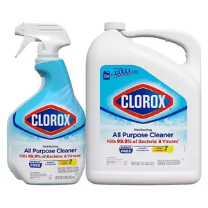Clorox Disinfecting All Purpose Cleaner Pack Clorox Disinfecting All Purpose Cleaner Pack