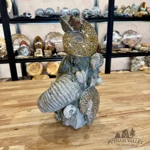 Reserve Large Moroccan Ammonite Cluster Sculpture 15"