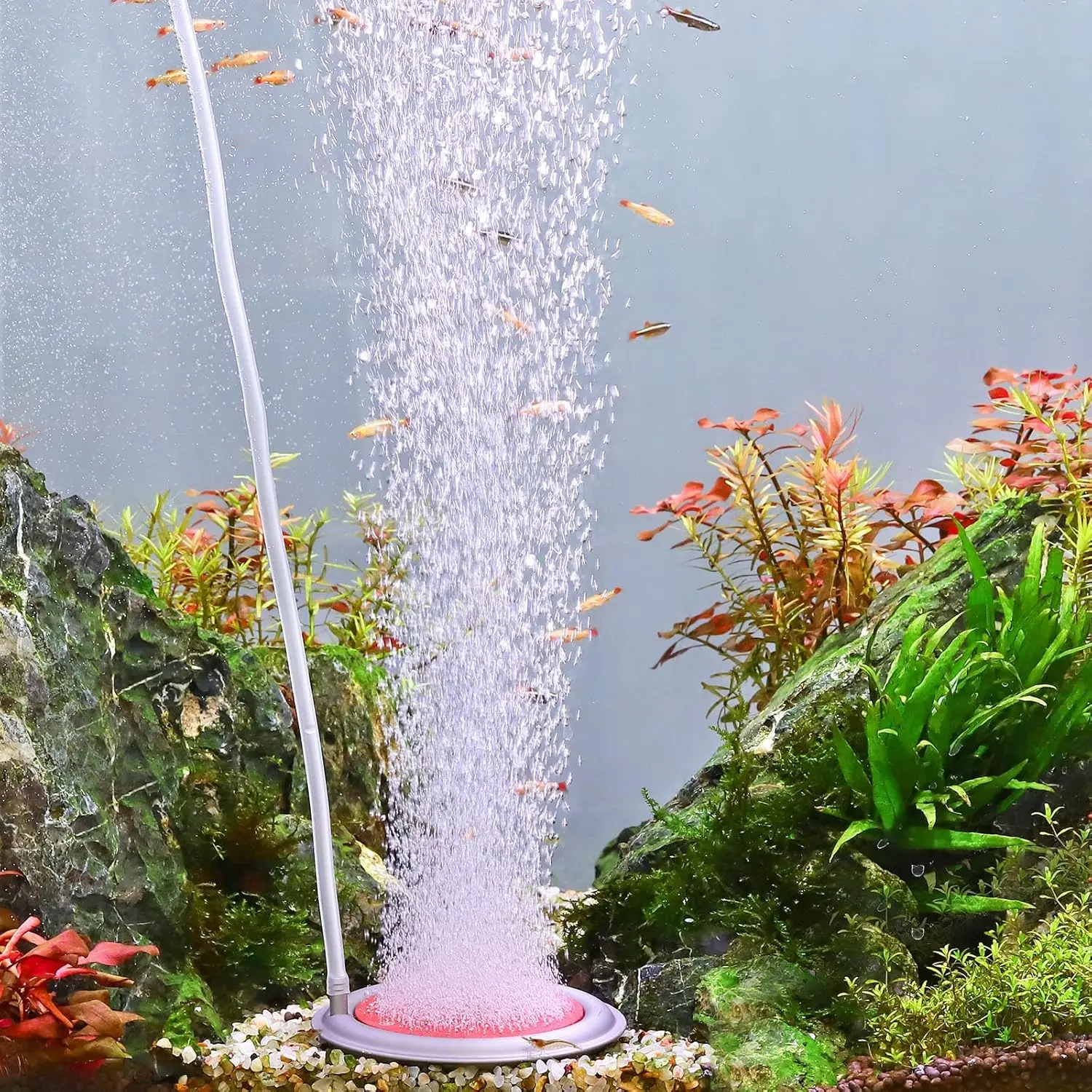 Aquarium Air Stone, 3.4 Inch Nano Air Stone Makes Super  Bubbles, Ultra Quiet Dissolved  Diffuser Small Airstone with Stainless Steel Base for Aquarium, Fish  & Hydroponic, Round