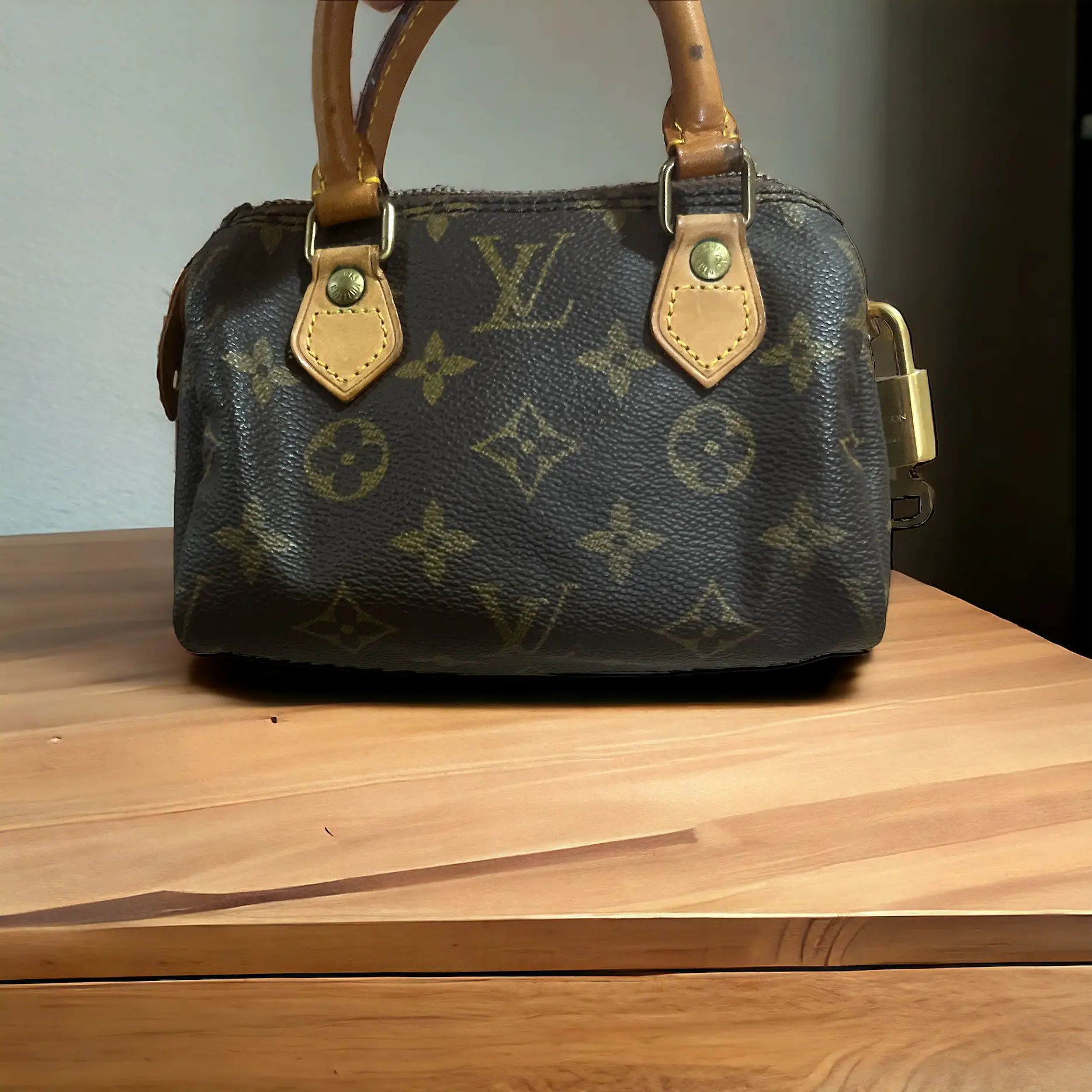 Pre-owned Louis Vuitton Leather Mini Bags Preowned Mini Speedy