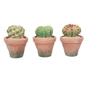 Fake Succulent with Warm White & Color Changing Lights, Lifelike Artificial Succulent Plants, Faux Cactus Light Up Plants for Desk Shelf Living Room Bedroom Decor, Set of 3 Shape