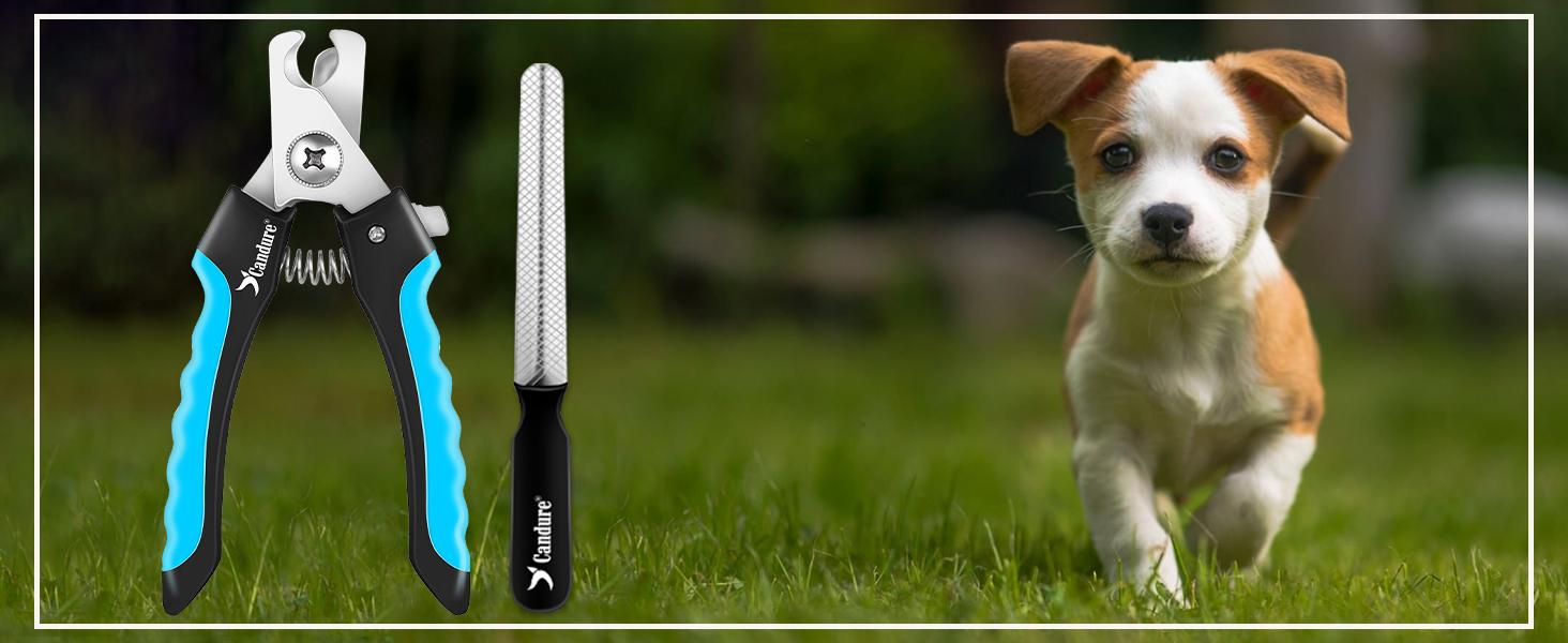 Candure Dog Nail Clippers and Trimmer with Safety Guard to Avoid Over-Cutting Toe Nails Professional Grooming Pet Nail Clipper with Nail File for Small Medium-Large Breeds Candure Dog Nail Clippers and Trimmer with Safety Guard to Avoid Over-Cutting Toe Nails Professional Grooming Pet Nail Clipper with Nail File for Small Medium-Large Breeds