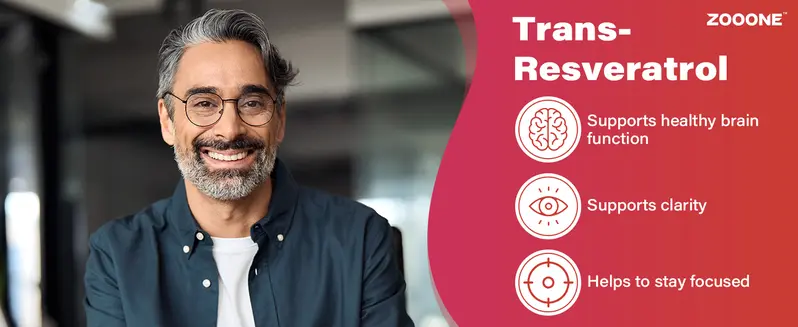 Product Introduction of ZOOONE 1000mg NAD+ Berry Flavor Drink Mix for Skin Aging Support, Energy, and Focus - 30 Pack - 11