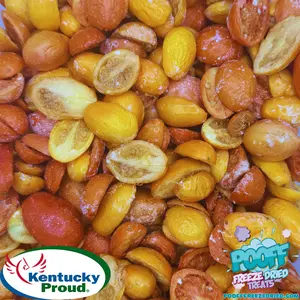 Freeze Dried Grape Tomatoes with Salt