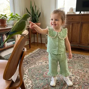 2Pcs Toddler Girls Summer Outfits Sleeveless Doll Collar Plaid Print Vest Tops and Elastic Waist Pants Set